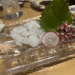 しらすくじら 極 - 