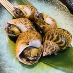 居酒屋 志華 - 