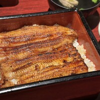 新宿うな鐵 はなれ -  新宿うな鐵 はなれ -