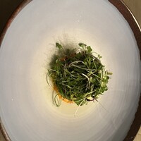 ボニュ - 