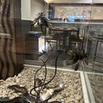 オーパス ワン - 