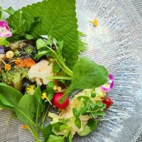 イリエスケープ - 