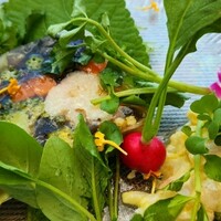 イリエスケープ - 