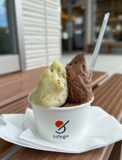 閉店】GELATERIA solege 泉南ニトリ店 （ジェラテリア ソレージェ