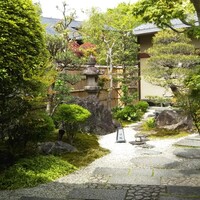 平等院表参道 竹林 - 