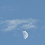 焼きもの家 慶 - 月が昇った。地球の自転は止まらない