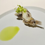 レストラン オオツ - 