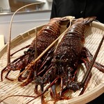 鍋・海鮮居酒屋 伊勢海老 たくと 大阪本町店 - 