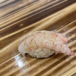 すし処 きみや - ナミクダヒゲエビ