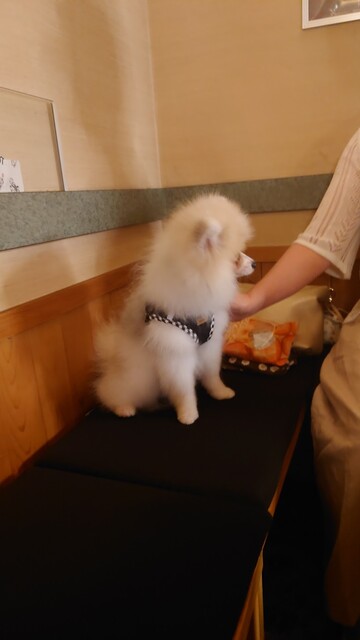 大介の店（【旧店名】Babi からむし） - 青森（ダイニングバー）の写真