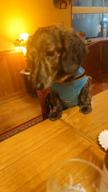 大介の店（【旧店名】Babi からむし） - 青森（ダイニングバー）の写真