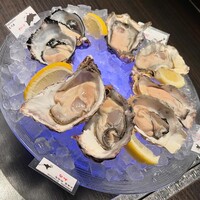 MAIMON GINZA - 