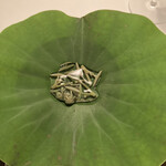 Installation Table ENSO L'asymetrie du calme - 