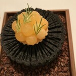 Installation Table ENSO L'asymetrie du calme - 