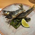 嘉肴 てのひら - 