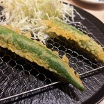 たつの申し子 - 