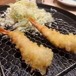 たつの申し子 - 