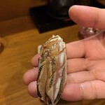 鮨と地魚料理 さかな倶楽部 たっぱん - 