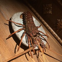 麻布十番 鉄板焼 楼漫亭 - 