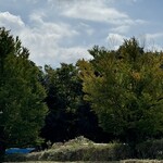 レイドバックバーガー - 