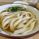 手打ちうどん こげら - こげらセット、かけうどん(並)ひやひや