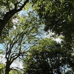 レイドバックバーガー - 静寂。