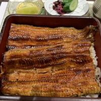 割烹蒲焼 横浜八十八 NEWoMan横浜店 - 