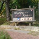 Blueberry Fields 紀伊國屋 - 山道を登り切ったらあらわれます。