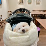 Karuizawa Ropponzuji Saro Cadeau du komorevi