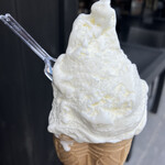 セタリア - 202409