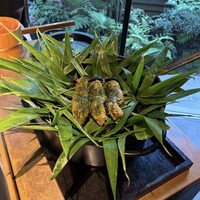 レフェルヴェソンス - 