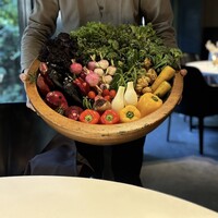 レフェルヴェソンス - 