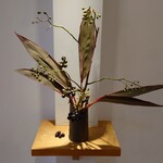 まん作 - 今日もおいしくいただきました