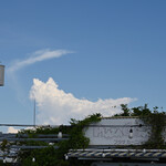 NIBOSHI MANIA - 夏空