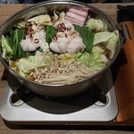 하카타 와카도리