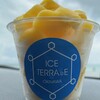 ICE TERRACE