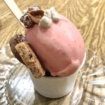 MADRE - プラムとアマゾンカカオのジェラート