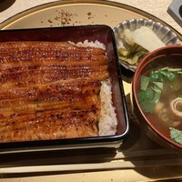うなぎ 目白ぞろ芽 - 