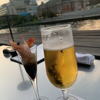 TOSA - 