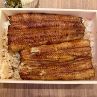 うなぎ 目白ぞろ芽 - 