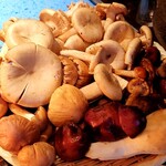 たでの葉 - きのこ鍋～