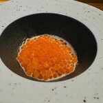 鮨shizuku 西天満 - 