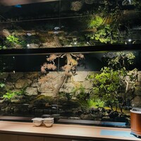 鮨shizuku 西天満 - 