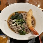 海鮮茶屋 一鮮 - 【2024.9.11(水)】日替り麺セットの海老天冷しそば