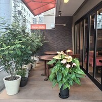 Cucina mollo - 