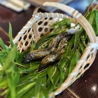 黒茶屋 - 