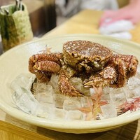 三宅輝 - 