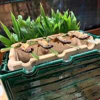 赤坂 菊乃井 - 