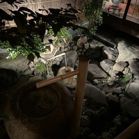 雪梅花 菜根譚 - 