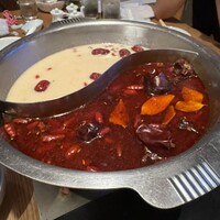 雪梅花 菜根譚 - 